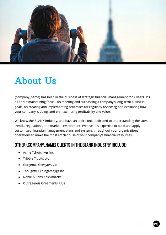 Financial Services Proposal Template